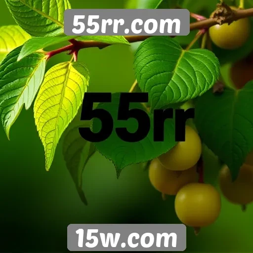 Comparativo de bônus de boas-vindas em 55rr.com